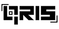 QRIS